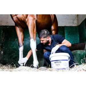 The Equine Warehouse Uptite Paste 