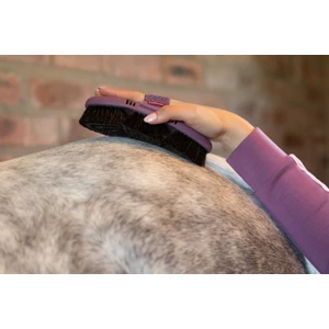 LeMieux Flexi Horse Hair Body Brush - Powder Blue in Powder Blue