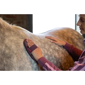 LeMieux Flexi Massage Brush - Powder Blue in Powder Blue