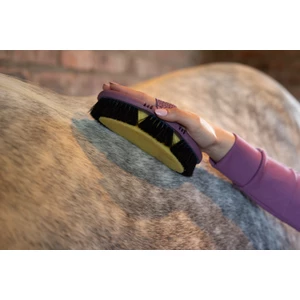 LeMieux Flexi Sponge Brush - Powder Blue 