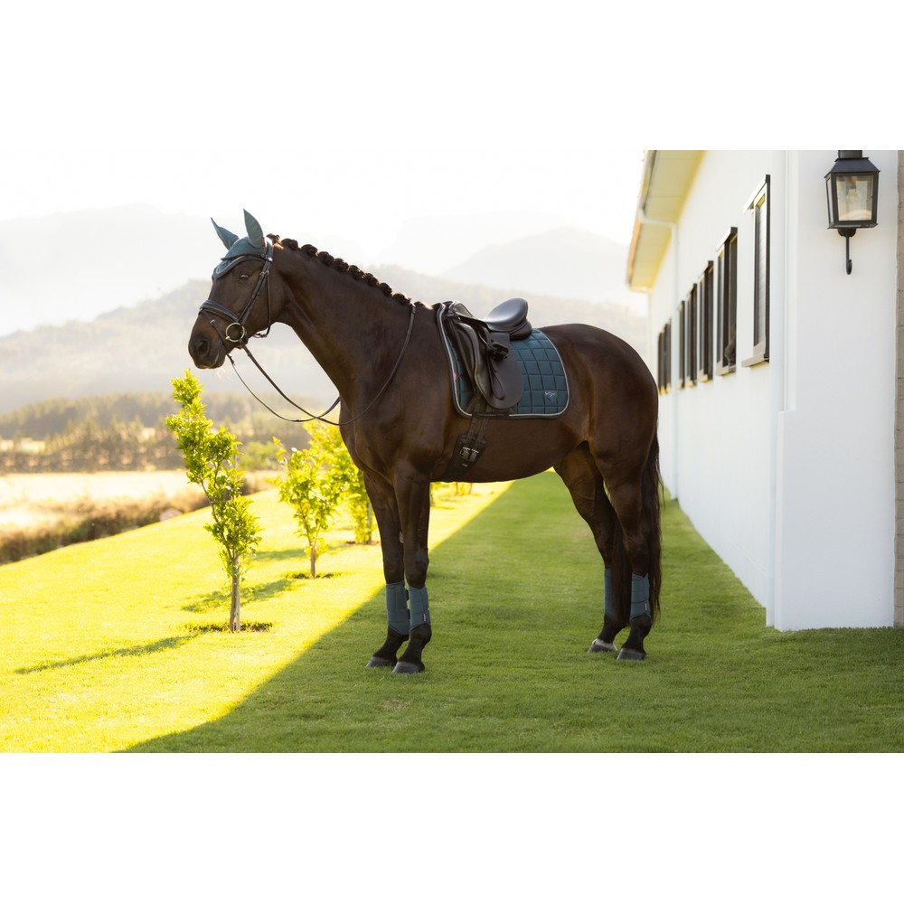 LeMieux Loire Classic Dressage Square - Jungle 