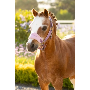 LeMieux Mini Vogue Headcollar & Leadrope - Mallow 