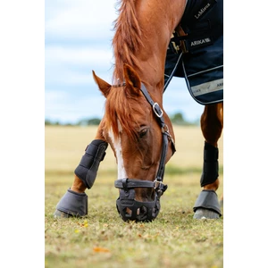 LeMieux Noma Grazing Muzzle - Black in Black