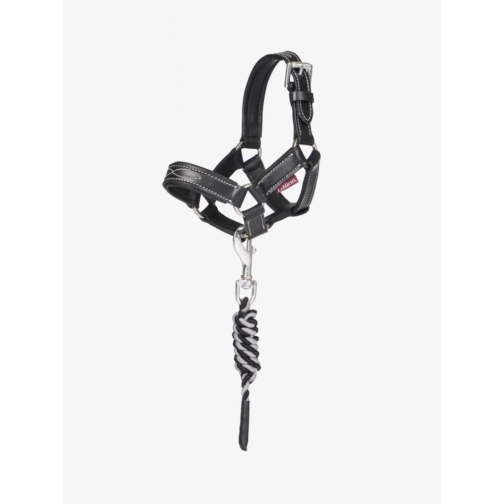 LeMieux Toy Pony Leather Headcollar & Leadrope - Black in Black