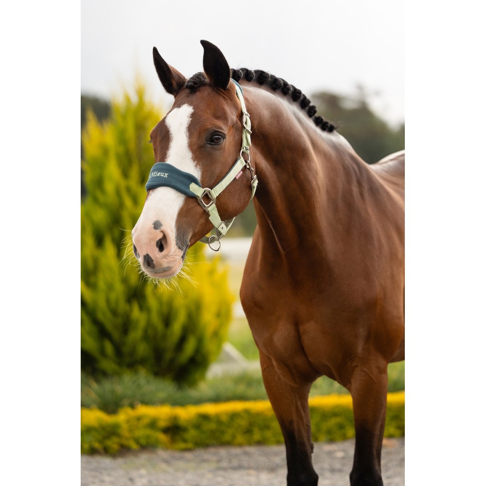 LeMieux Vogue Headcollar & Leadrope - Macaron 