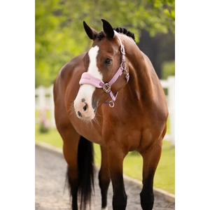 LeMieux Vogue Headcollar & Leadrope - Mallow 