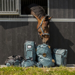 QHP Boot bag collection - Palm Green in Palm Green
