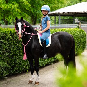 QHP Helmet cover Rosalynn - Pink/Blue in Pink/Blue