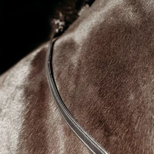 PresTeq FayRein with clip - Black in Black