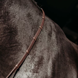 PresTeq FayRein with stops(8cm) - Brown in Brown