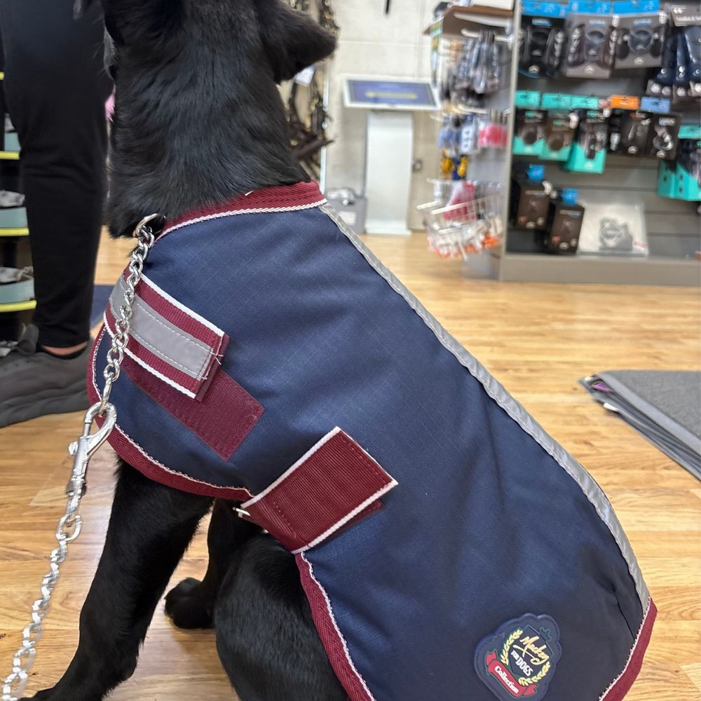 Mackey Equestrian Mackey Buster 600D Dog Rug - Navy/Burgundy 