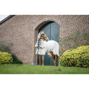 Horseware Rambo Rambo Pony Hoody  - Chalk/Hunter Green & Silver in Chalk/Hunter Green & Silver