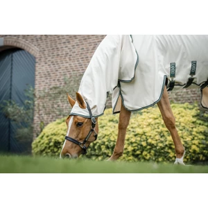 Horseware Rambo Rambo Pony Hoody  - Chalk/Hunter Green & Silver in Chalk/Hunter Green & Silver