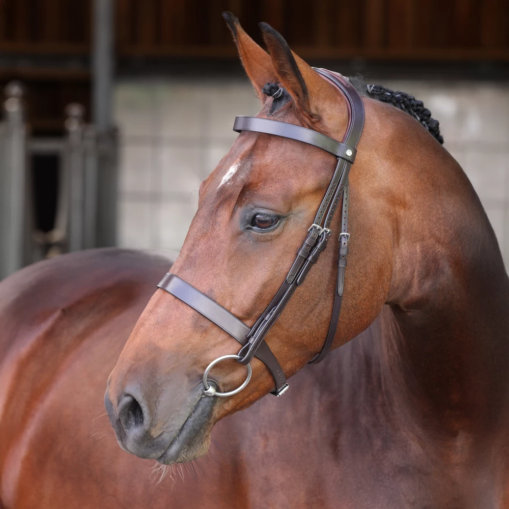 Velociti LUSSO Elite Hunter Bridle - Havana in Havana