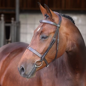 Velociti LUSSO Elite Hunter Bridle - Havana in Havana