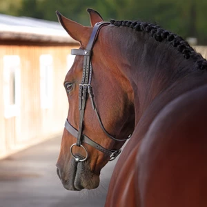 Velociti LUSSO Elite Hunter Bridle  - Havana 