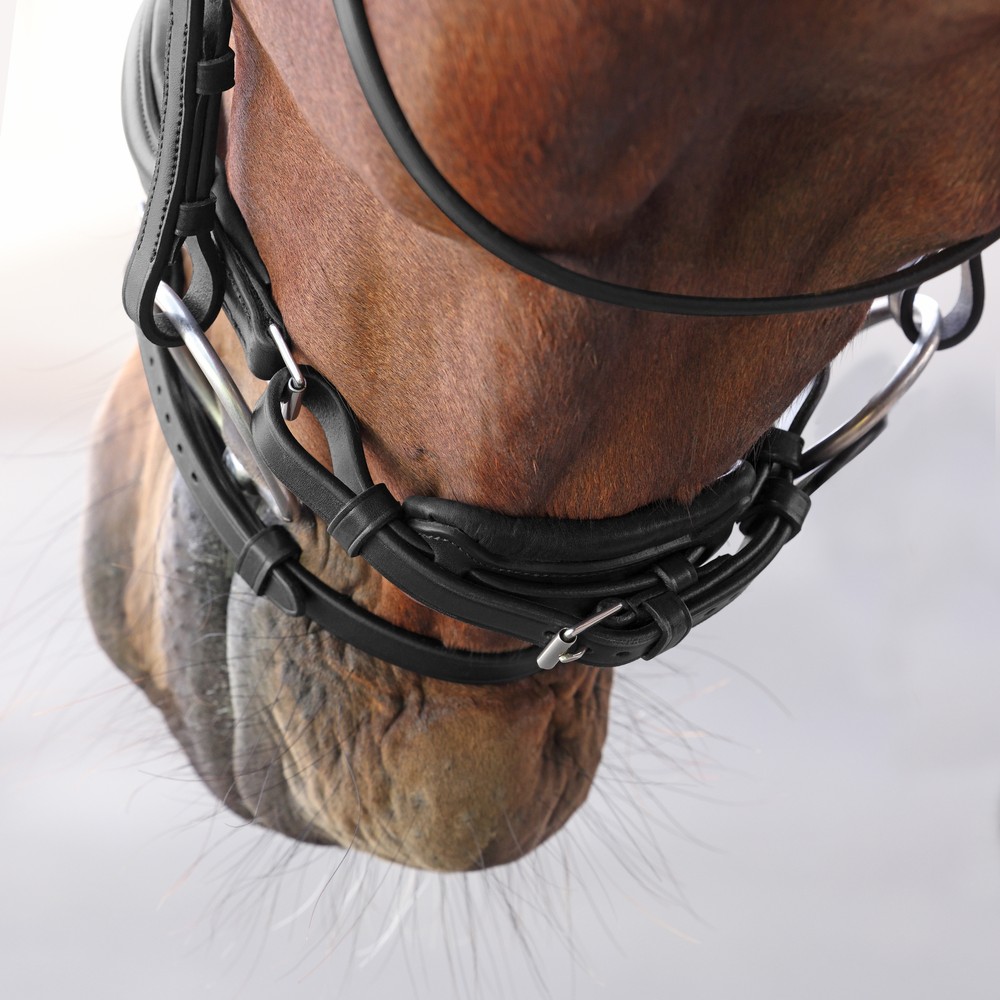 Velociti LUSSO Elite Dressage Flash Bridle - Black