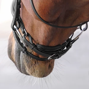 Velociti LUSSO Elite Dressage Flash Bridle - Black in Black