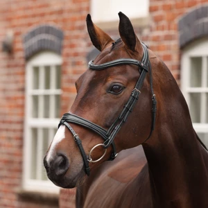 Velociti LUSSO Opus 180M Padded Flash Bridle - Black in Black