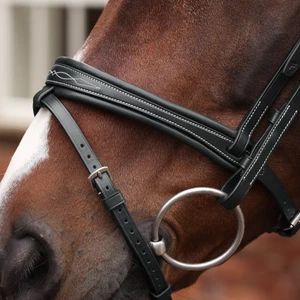 Velociti LUSSO Opus 180M Padded Flash Bridle - Black in Black