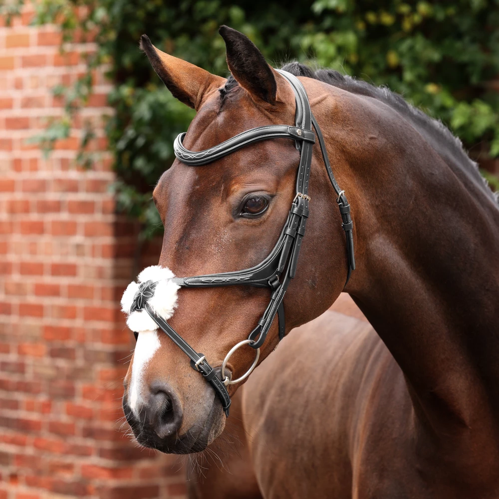Velociti LUSSO Opus 180M Grackle Bridle - Black in Black