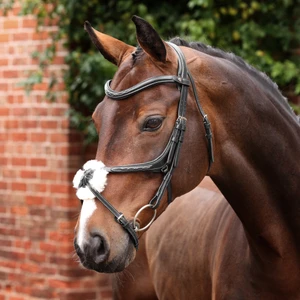 Velociti LUSSO Opus 180M Grackle Bridle - Black in Black