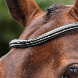 Velociti LUSSO Opus 180M Grackle Bridle - Black in Black