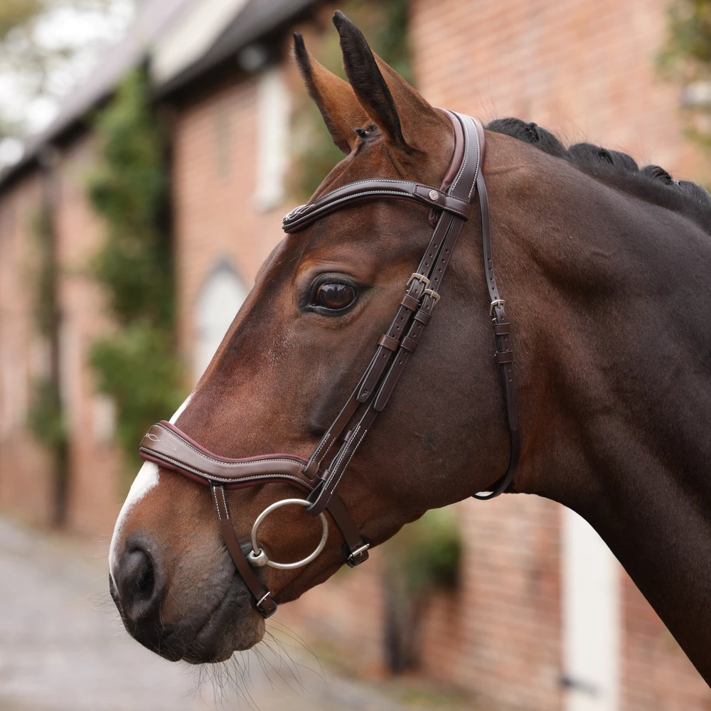 Velociti LUSSO Opus 180M Ergonomic Flash Bridle - Havana in Havana