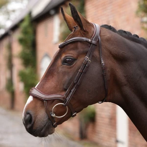 Velociti LUSSO Opus 180M Ergonomic Flash Bridle - Havana in Havana