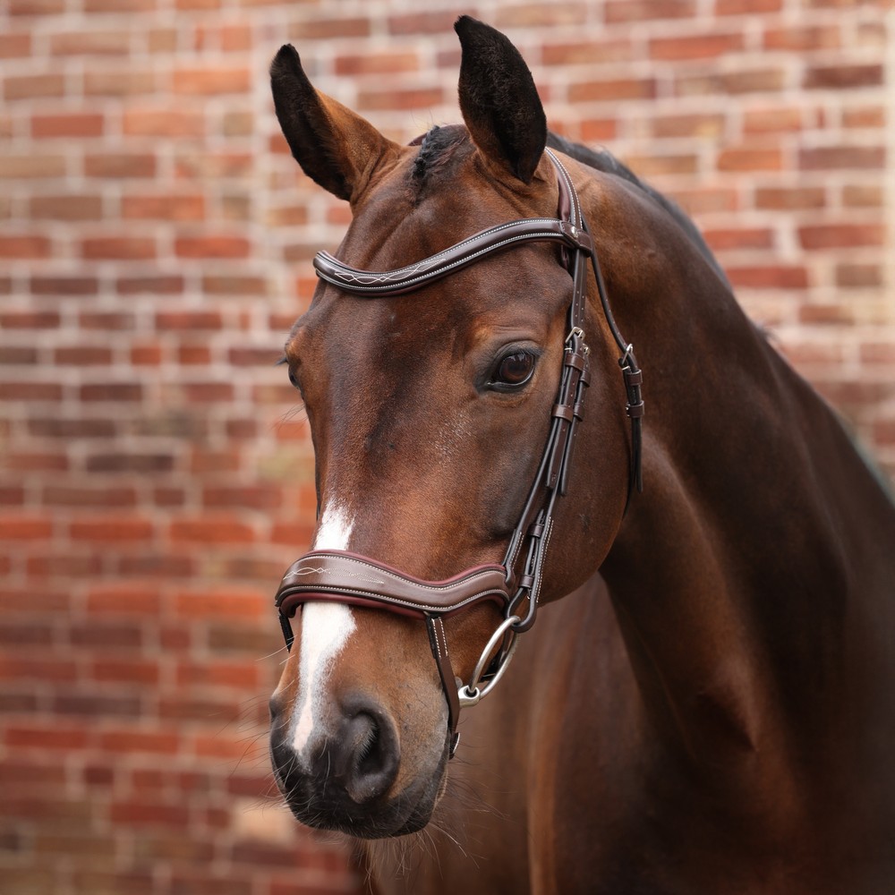 Velociti LUSSO Opus 180M Ergonomic Flash Bridle - Havana