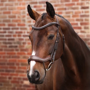 Velociti LUSSO Opus 180M Ergonomic Flash Bridle - Havana in Havana