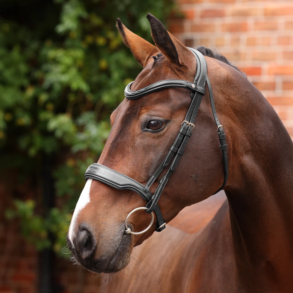 Velociti LUSSO Opus 180M Dressage Cavesson Bridle - Black in Black