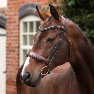 Velociti LUSSO Opus 180M Dressage Cavesson Bridle - Havana in Havana