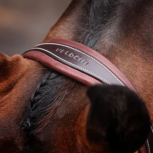 Velociti LUSSO Opus 180M Dressage Cavesson Bridle - Havana 
