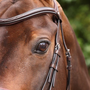 Velociti LUSSO Opus 180M Dressage Cavesson Bridle - Havana in Havana