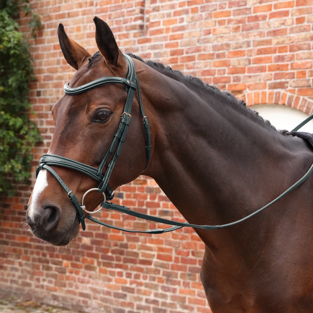 Velociti LUSSO Opus Pro SureGrip Reins - Black in Black