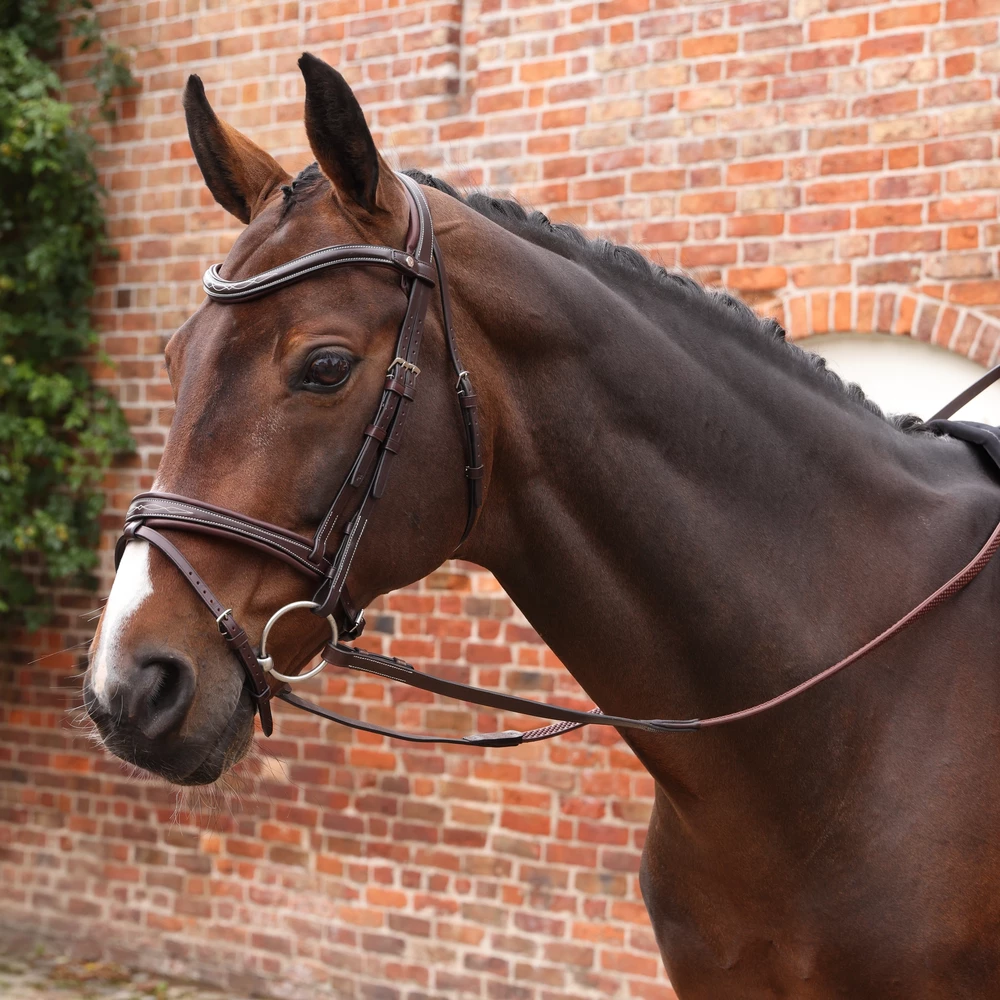 Velociti LUSSO Opus Pro SureGrip Reins - Havana in Havana