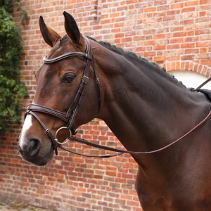 Velociti LUSSO Opus Pro SureGrip Reins - Havana in Havana