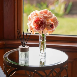 Cremello Velvet Rose & Patchouli Diffuser in Velvet Rose & Patchouli