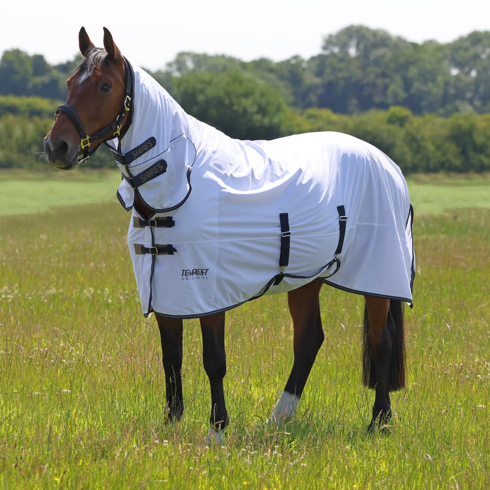 Tempest Original Fly Combo Rug - White/Navy in White/Navy