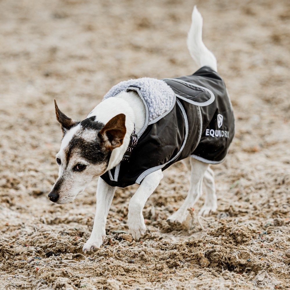 EQUIDRY Waterproof Dog Coat | Black/Grey 