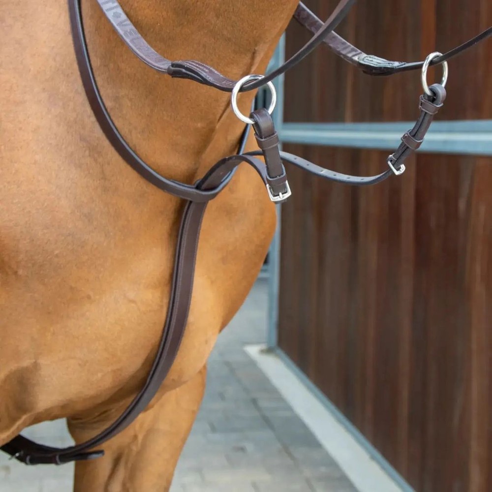 Velociti LUSSO Opus Running Martingale - Havana