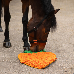 QHP Snuffle mat for horses - Carrot 