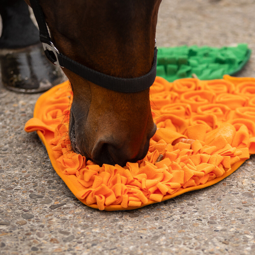 QHP Snuffle mat for horses - Carrot 