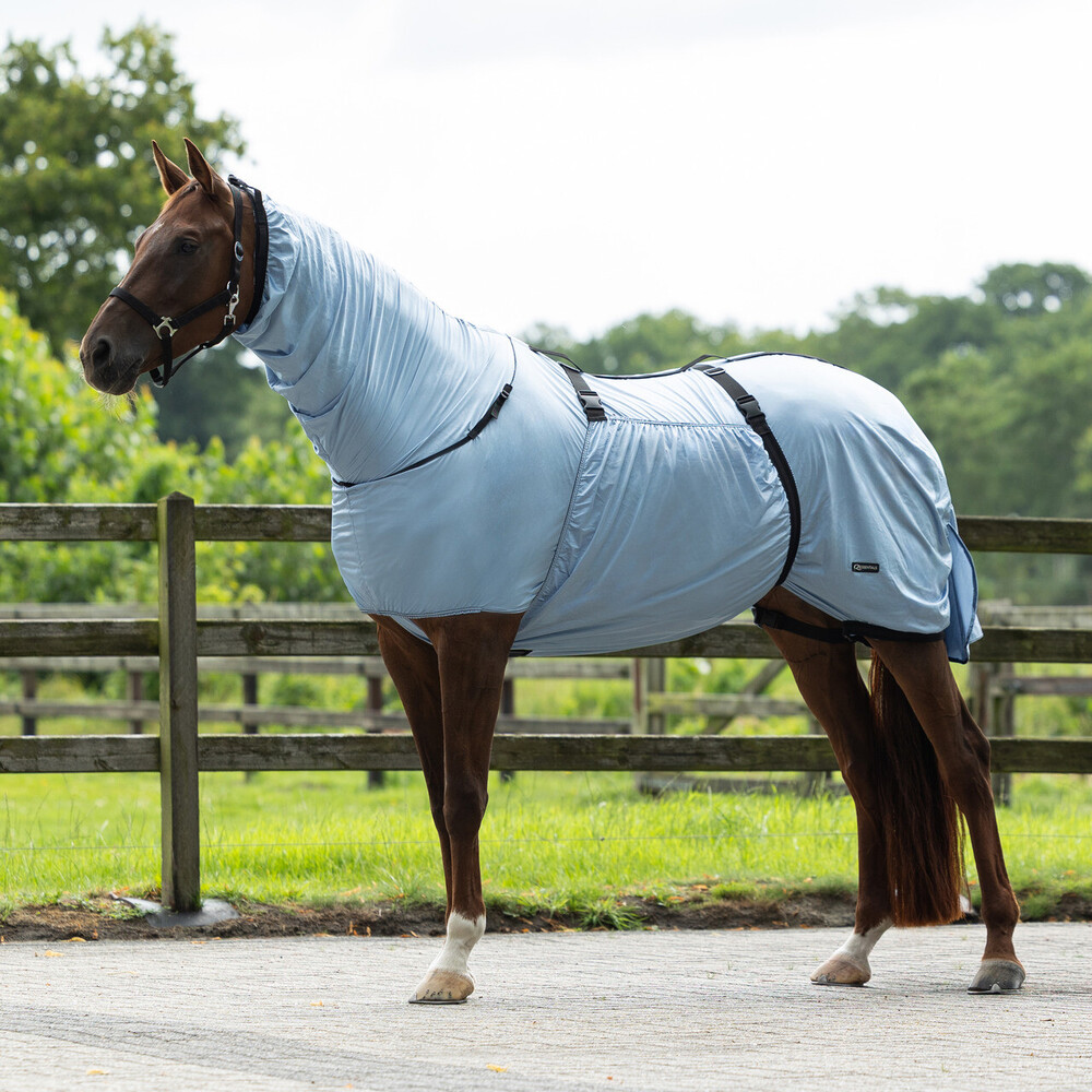 Q-essentials Eczema rug - Steel Blue in Steel Blue