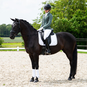 QHP Competition jacket Novèn - Palm Green in Palm Green