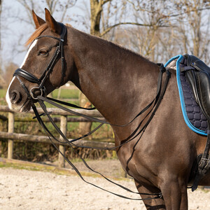 QHP Draw reins Basic pro anti-slip - Black 
