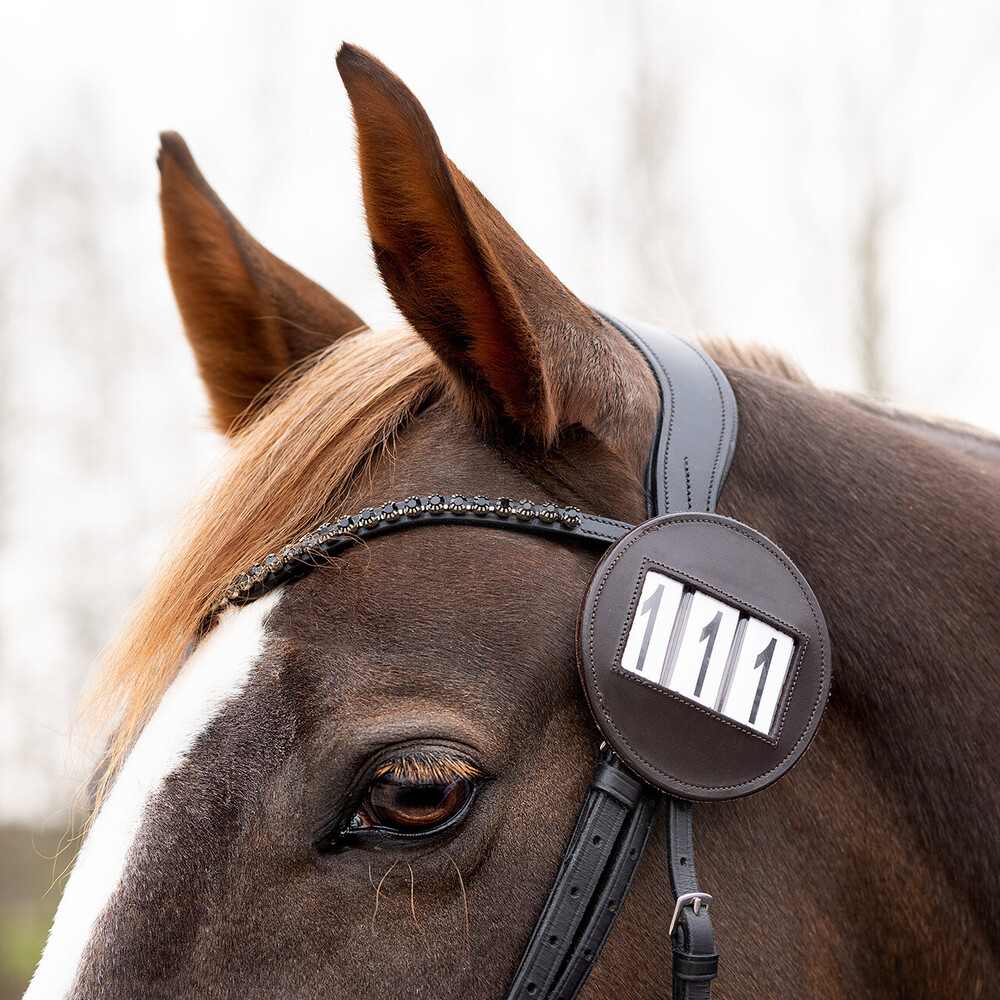 QHP Number holder Modeste round - Brown