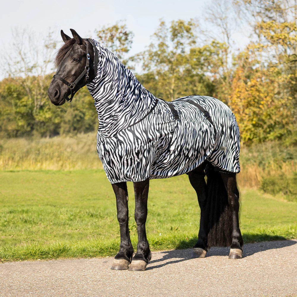 QHP Eczema rug Big neck - Zebra in Zebra