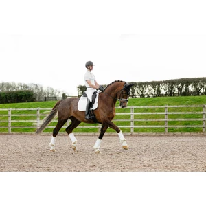 LeMieux Cotton Dressage Square - White 